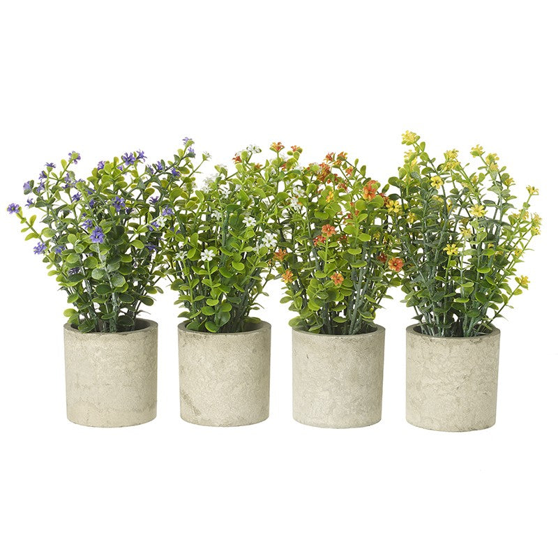 Flower pot in a choice of 4 colours