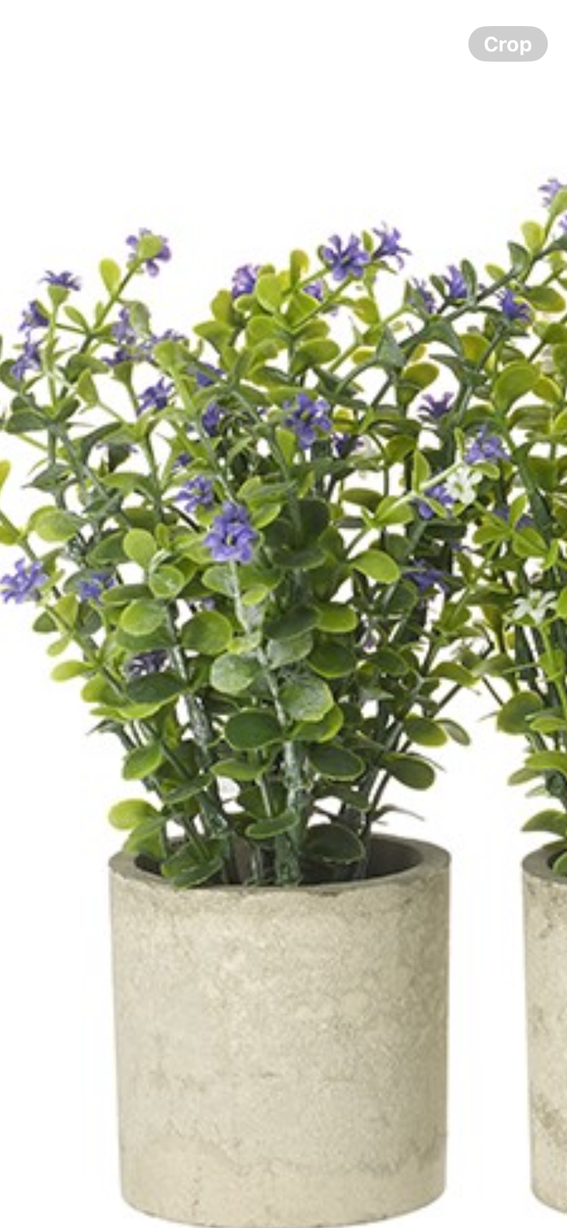 Flower pot in a choice of 4 colours