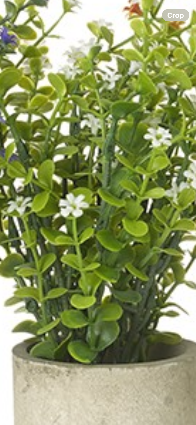 Flower pot in a choice of 4 colours
