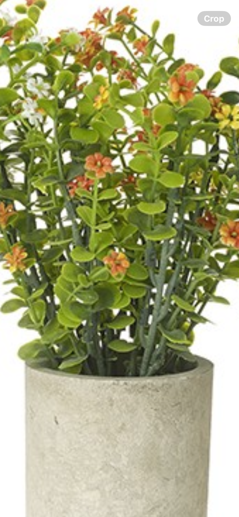 Flower pot in a choice of 4 colours