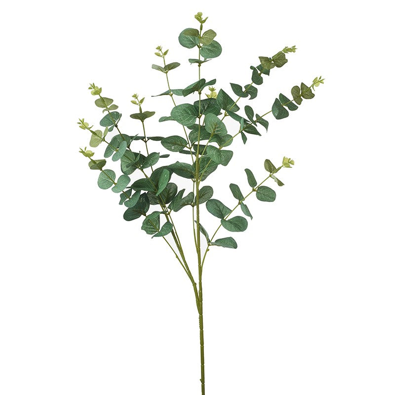 Eucalytus Branches Large