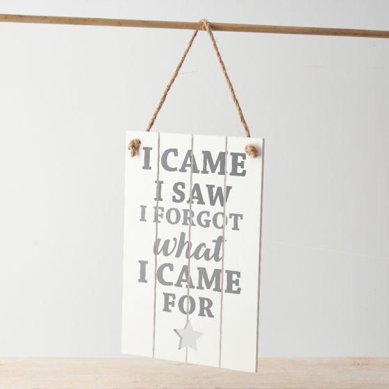 I Came, I Saw, I Forgot Slatted Sign, 23cm