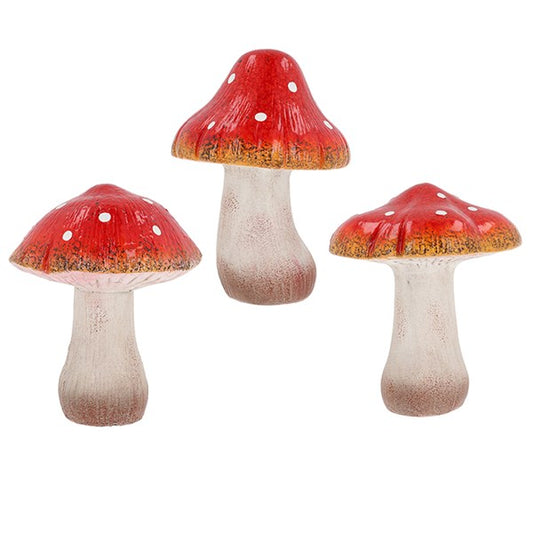 Mystic Mushrooms Single large
