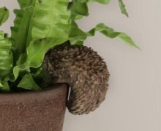 Hedgehog Pot Hanger