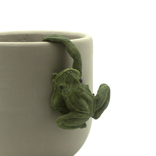 Frog Pot Hanger