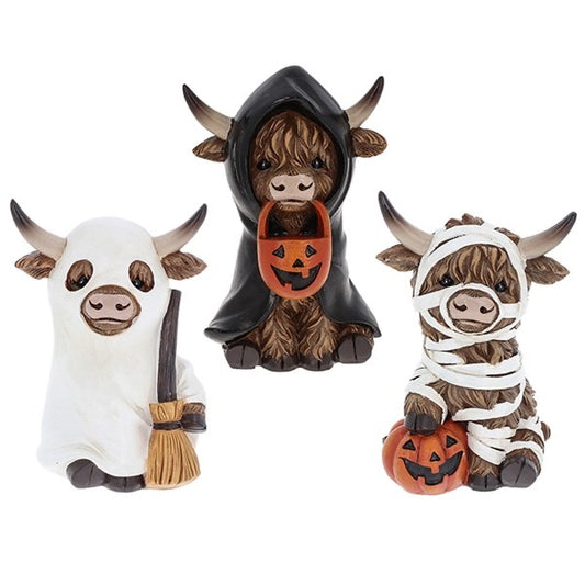 Halloween Coos Fancy Dress in 3 Designs