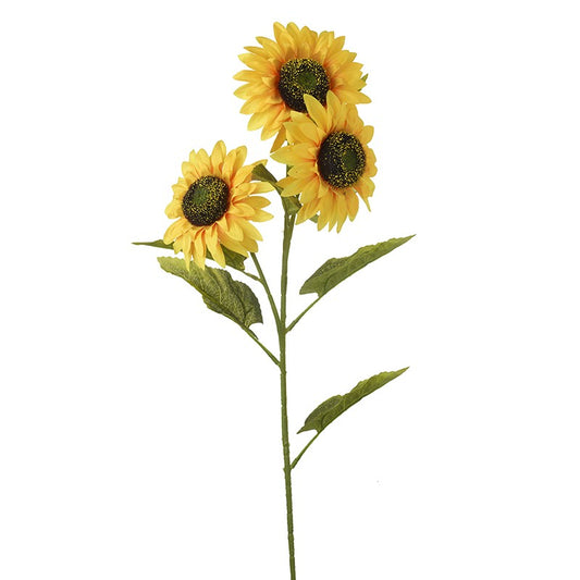 Sunflower Branch